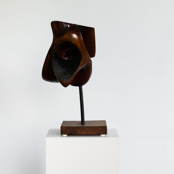 Abstract Teakwood Sculpture mounted on Rosewood Base